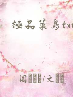 极品菜鸟txt