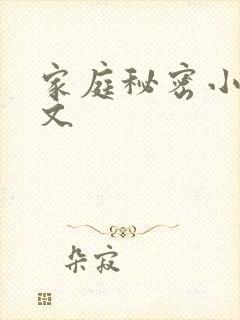 家庭秘密小说全文