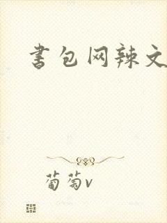 书包网辣文