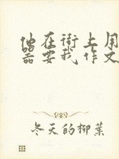 他在街上用遥控器要我作文