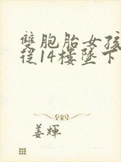 双胞胎女孩双双从14楼坠下