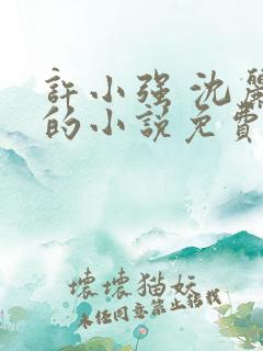 许小强 沈丽娟的小说免费阅读