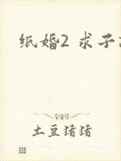 纸婚2 求子记