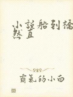 小说船到桥头自然直