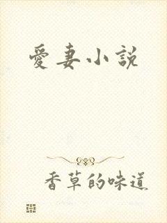 爱妻小说