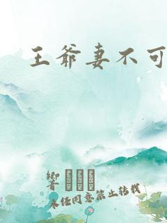 王爷妻不可欺