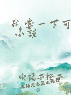 我尝一下可以吗 小说