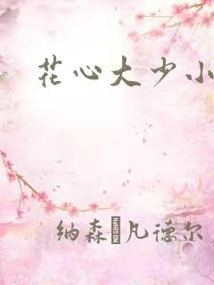 花心大少小说