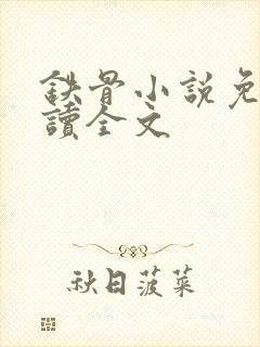 铁骨小说免费阅读全文