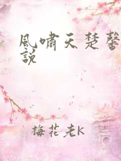 风啸天楚馨月小说