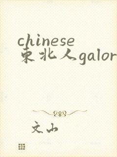 chinese东北人galore
