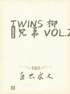 TWINS 柳澤兄弟 VOL.2