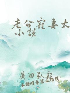 老公宠妻太甜蜜 小说