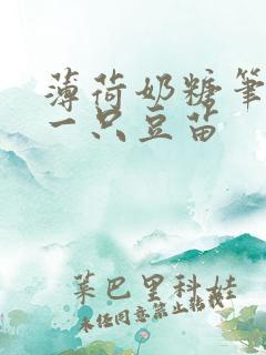 薄荷奶糖笔趣阁一只豆苗