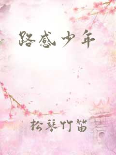 路感少年
