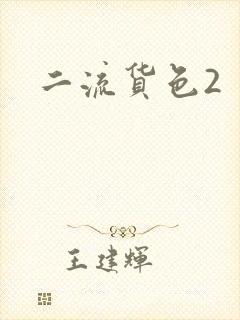 二流货色2