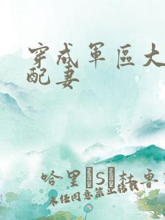 穿成军区大佬女配妻