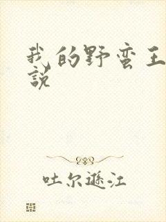 我的野蛮王妃小说