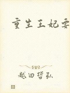 重生王妃要和离