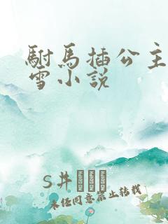 驸马插公主恋战雪小说