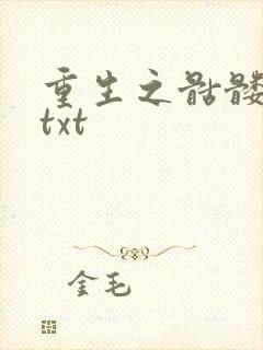 重生之骷髅人生txt