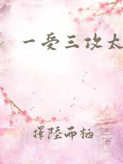 一受三攻太涨了