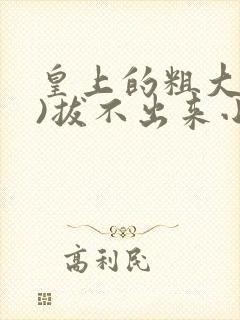 皇上的粗大(h)拔不出来小说