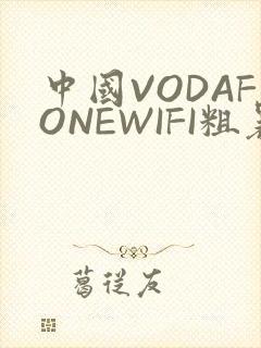 中国VODAFONEWIFI粗暴APP
