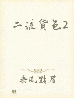 二流货色2