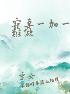 宠妻一加一老婆难做