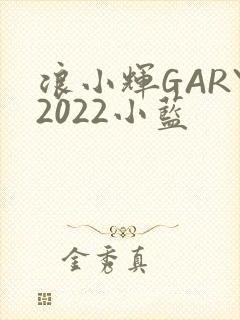 浪小辉GARY2022小蓝