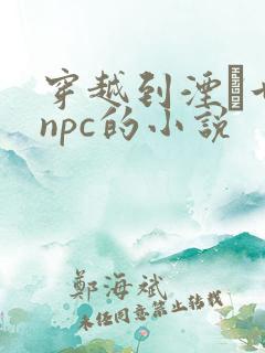 穿越到湮婸世界npc的小说