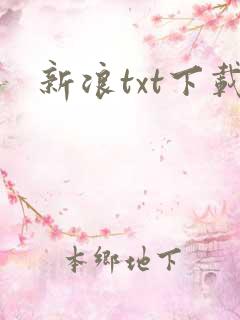 新浪txt下载