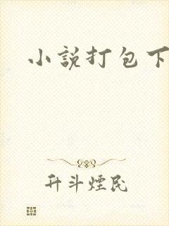 小说打包下载