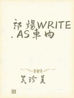 祁炀WRITE. AS车肉