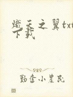 炽天之翼txt下载