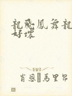 龙飞凤舞龙王你好坏
