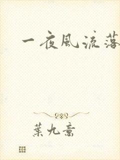一夜风流落裔
