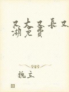 又大又长又租高湖免费