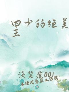 四少的绝美宠公主