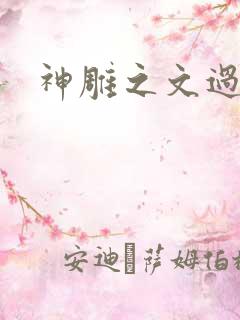 神雕之文过饰非