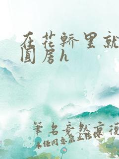 在花轿里就开始圆房h