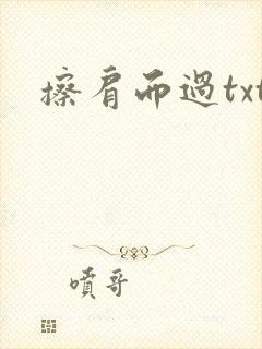 擦肩而过txt