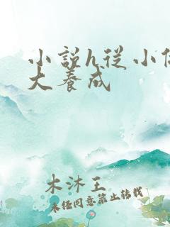 小说h从小做到大养成