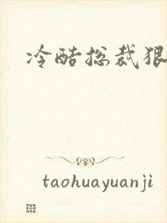 冷酷总裁狠狠爱