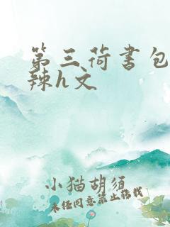 第三荷书包网高辣h文