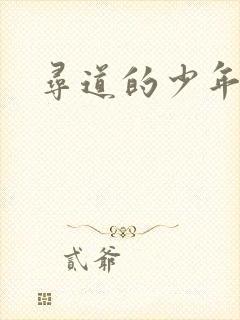 寻道的少年
