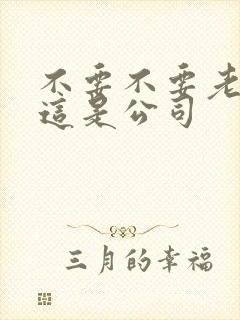 不要不要老板别这是公司