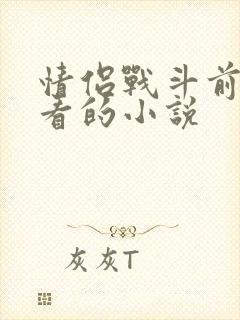 情侣战斗前适合看的小说