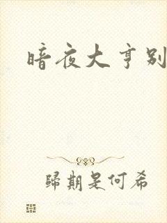 暗夜大亨别烦我